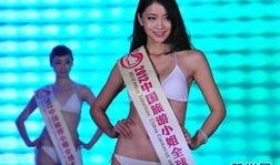 深圳苗小姐最新爆料,揭秘事件背后惊人真相